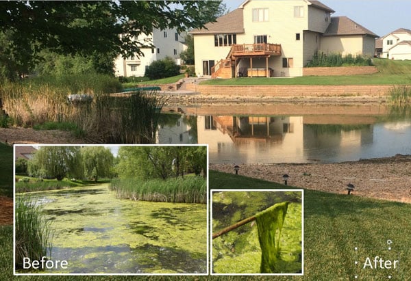 Service_Pond-Weed-Control_Aspen-Before-and-After
