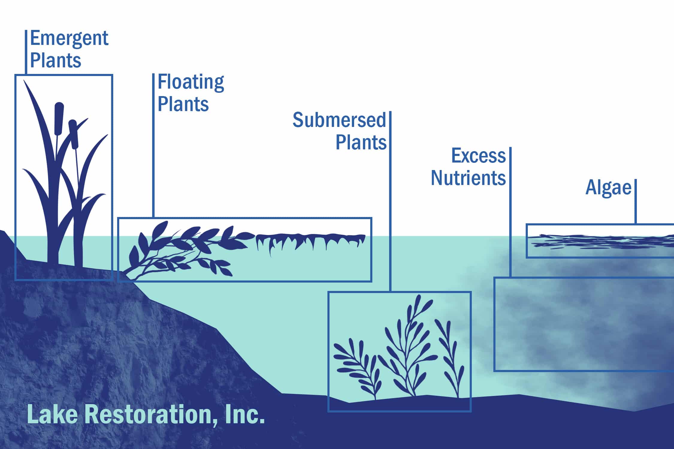 Visual example of types of aquatic weeds, including submersed weeds, free floating weeds, emergent weeds, rooted floating weeds, algae, and excess nutrients.