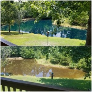 pond dye before and after