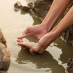 Two hands scooping brown water with excess nutrients between rocks.