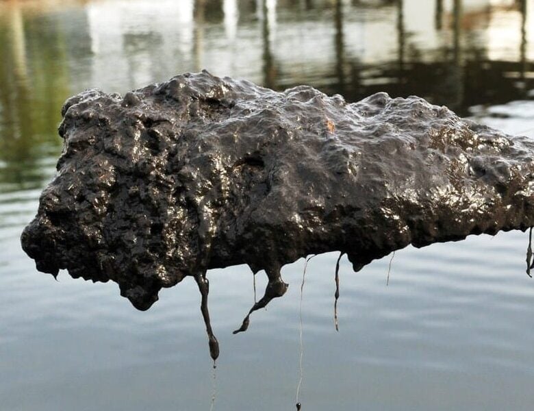 Oar holding up muck.