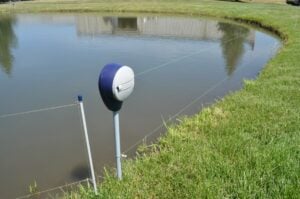 Goose D-Fence installed around a small pond.