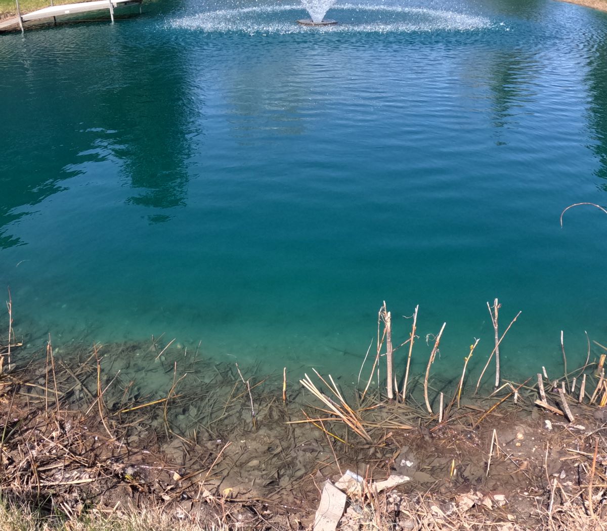 Protective gear for applying pond dye