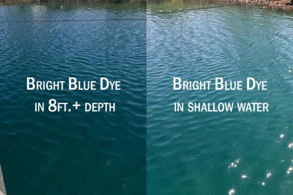 Bright blue dye in 8ft.+ depth compared to shallow water.