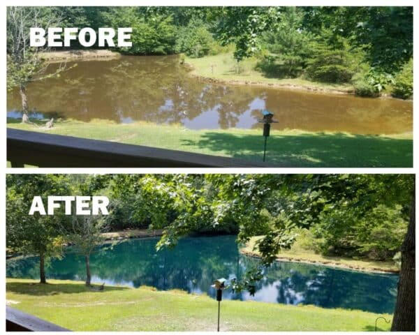 Dying a pond before and after.