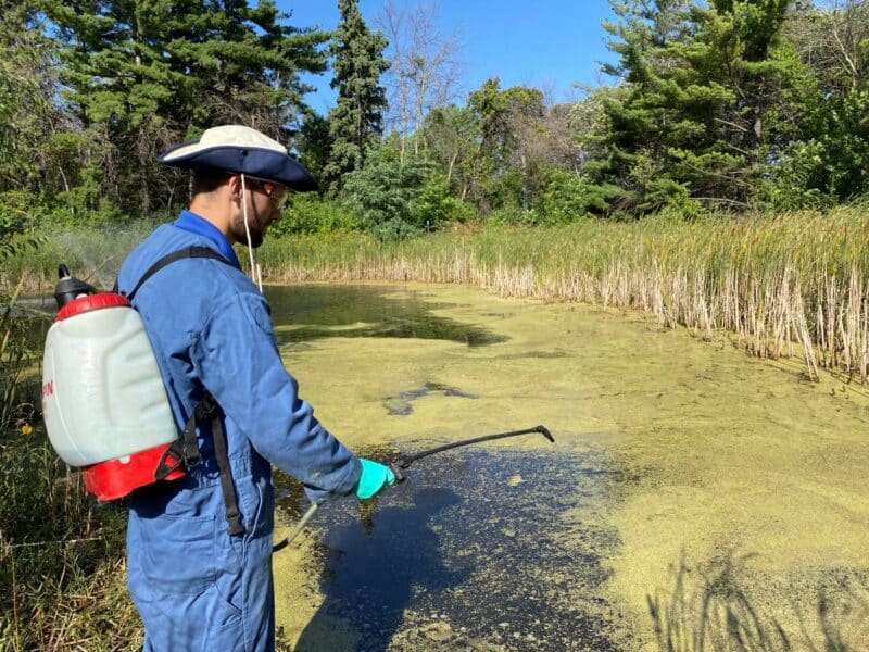 Person wearing PPE spraying product on algae bloom.