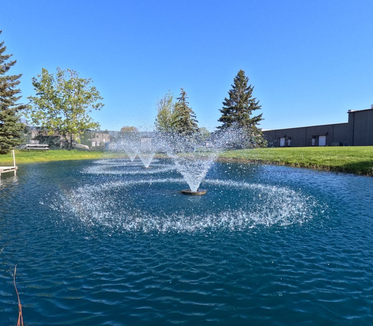 Vitaflume fountain in pond