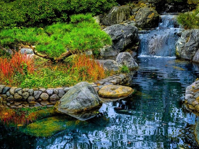Water feature with rocks and vibrant plants around the stream