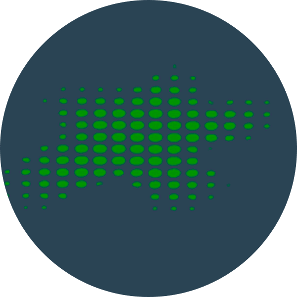 icon algaecide