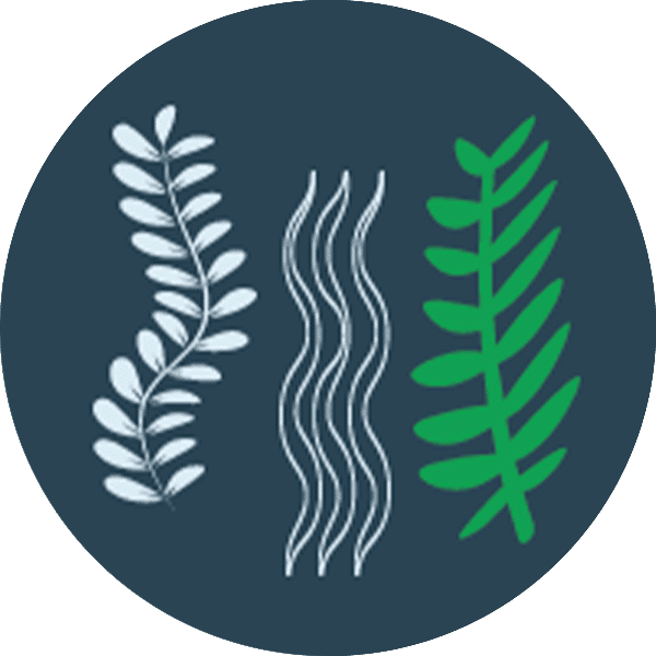 icon herbicide copy