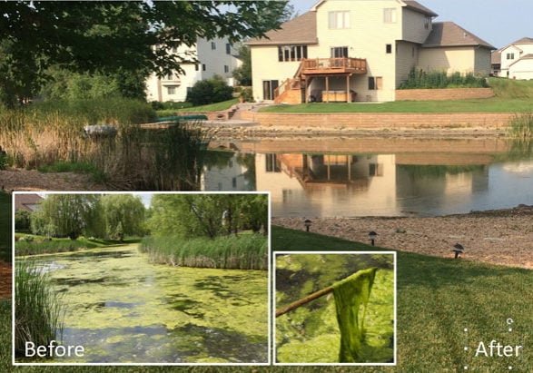 Service_Pond-Weed-Control_Aspen-Before-and-After