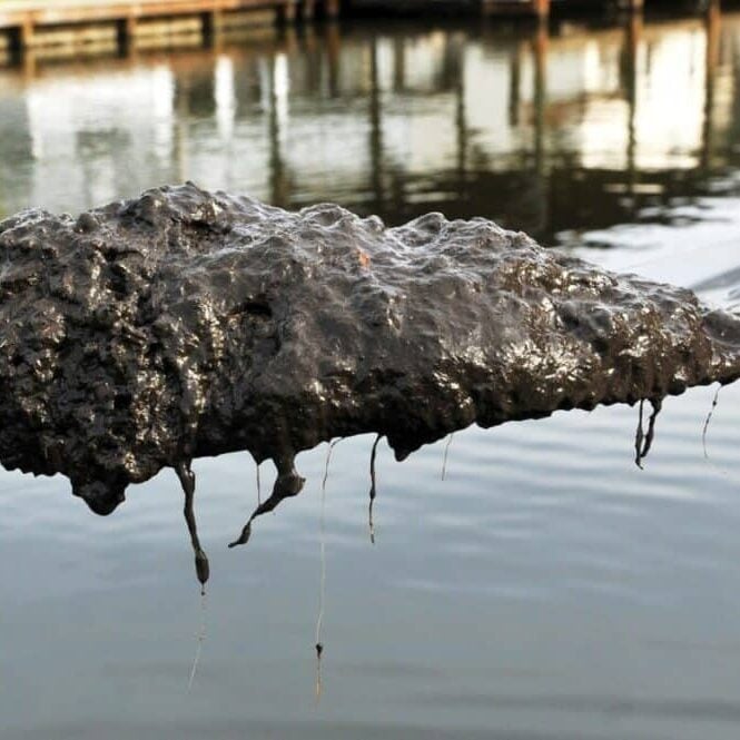 Oar holding up muck.