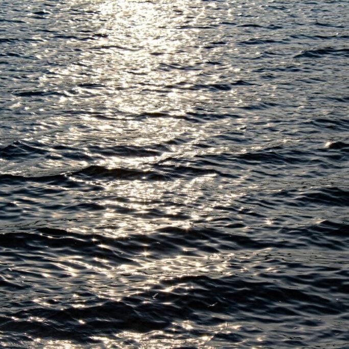 Black reflective water with sun shining on it