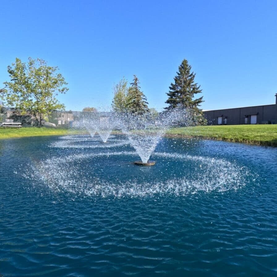 Vitaflume fountain in pond