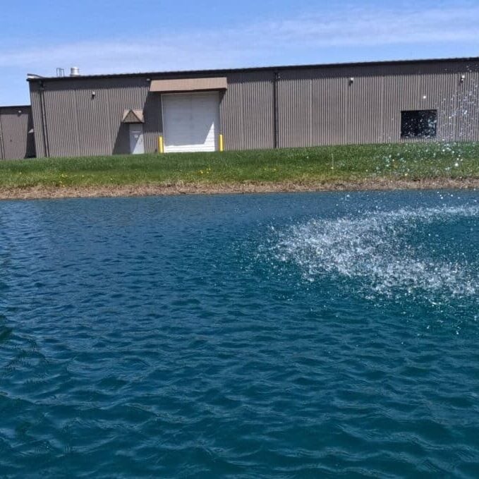 Lake Restoration Dye in a pond.
