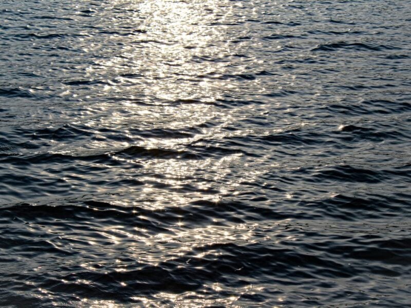 Black reflective water with sun shining on it