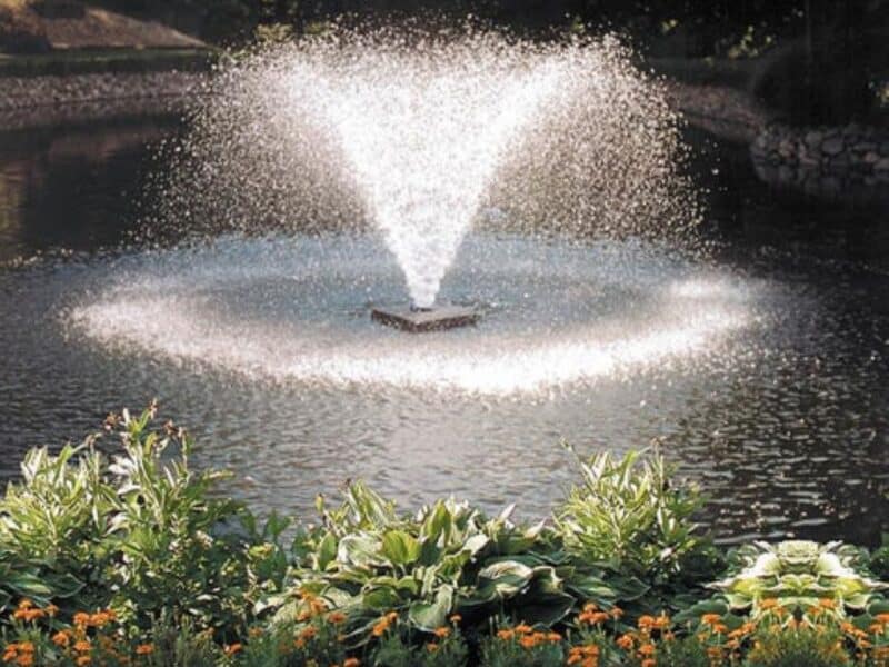 Pond with shoreline plants and vortex fountain in middle